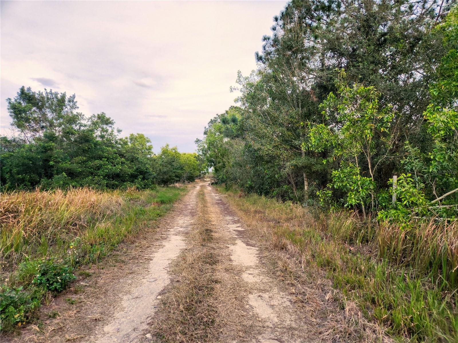 W FROSTPROOF RD #Lot 17, FROSTPROOF, FL, 33843