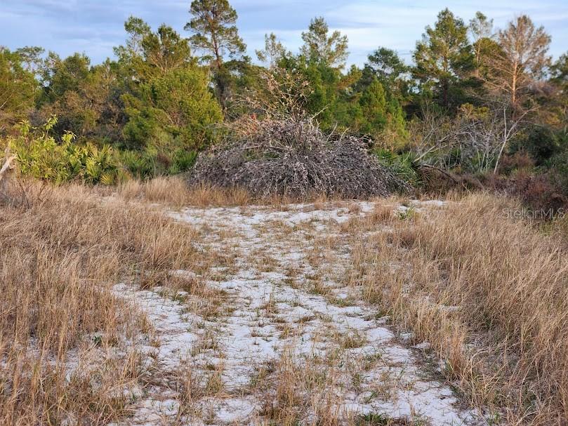 W FROSTPROOF RD #Lot 17, FROSTPROOF, FL, 33843