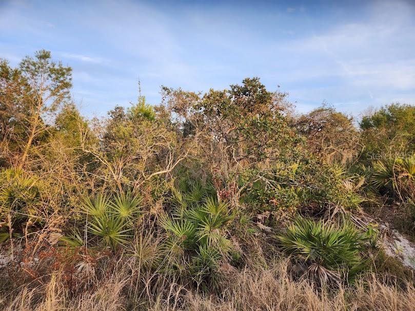 W FROSTPROOF RD #Lot 17, FROSTPROOF, FL, 33843