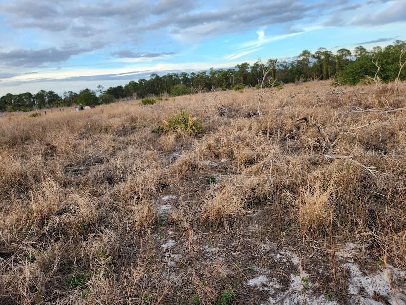 W FROSTPROOF RD #Lot 17, FROSTPROOF, FL, 33843