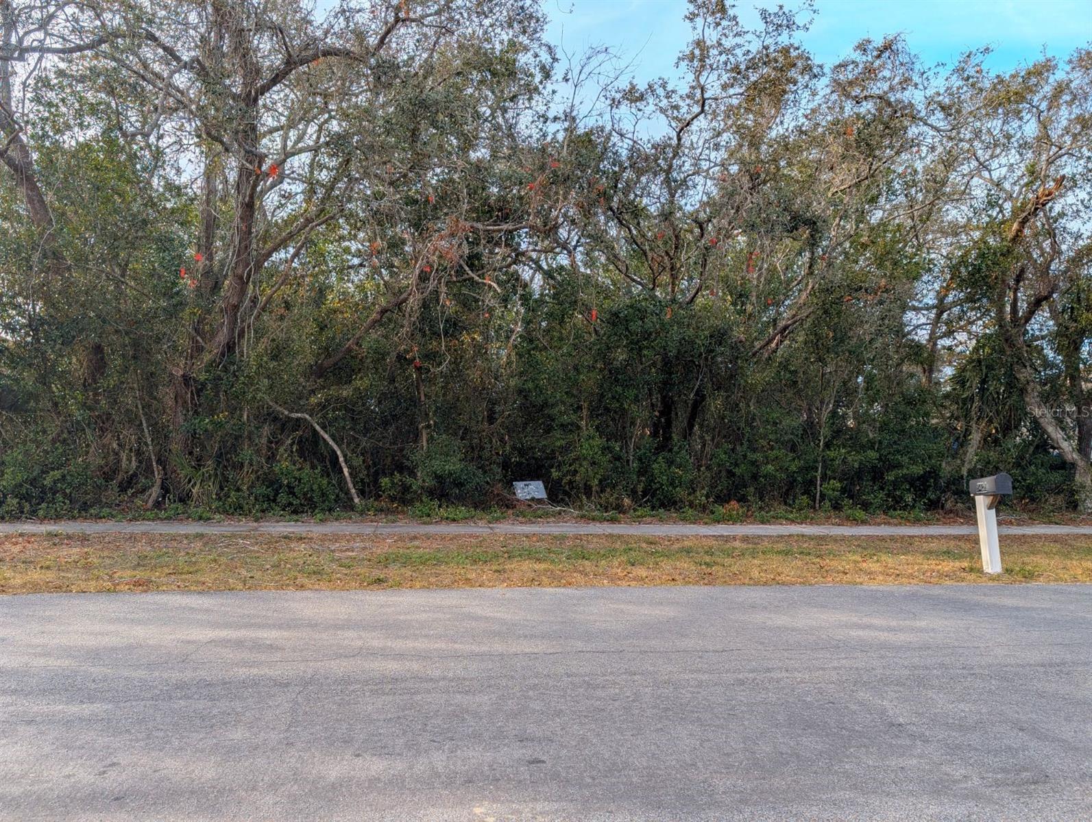 5427 ROBLE AVE, SPRING HILL, FL, 34608