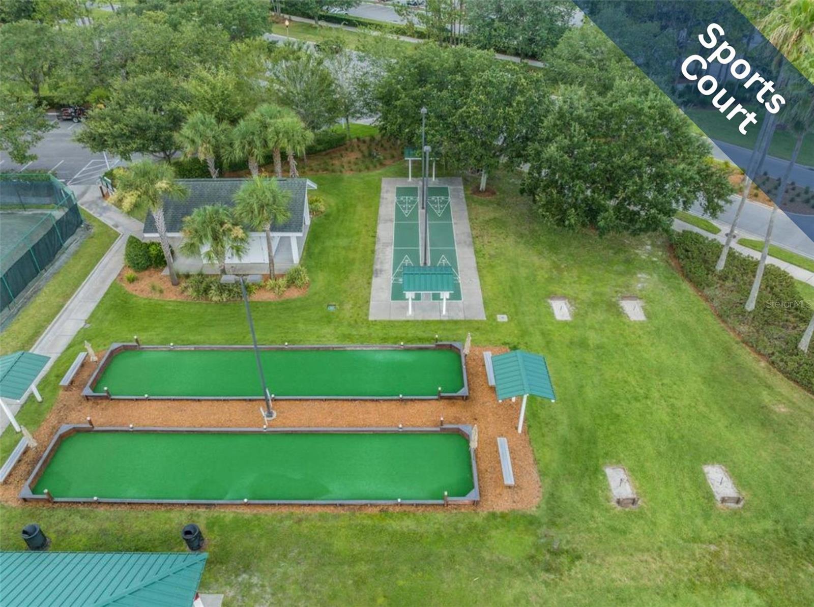 12219 ARRON TER, TRINITY, FL, 34655