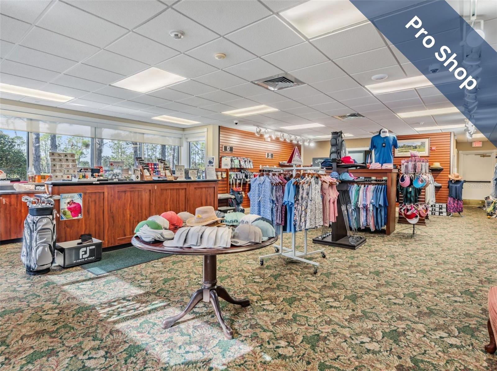 12219 ARRON TER, TRINITY, FL, 34655