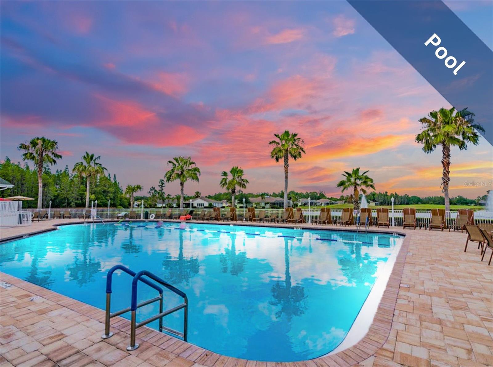 12219 ARRON TER, TRINITY, FL, 34655