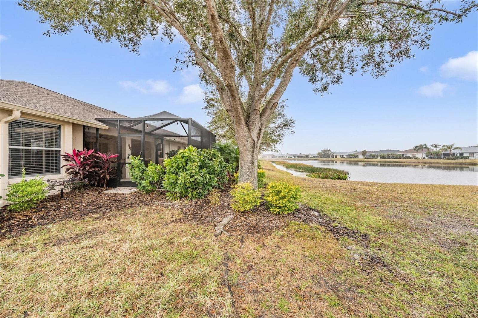 12219 ARRON TER, TRINITY, FL, 34655