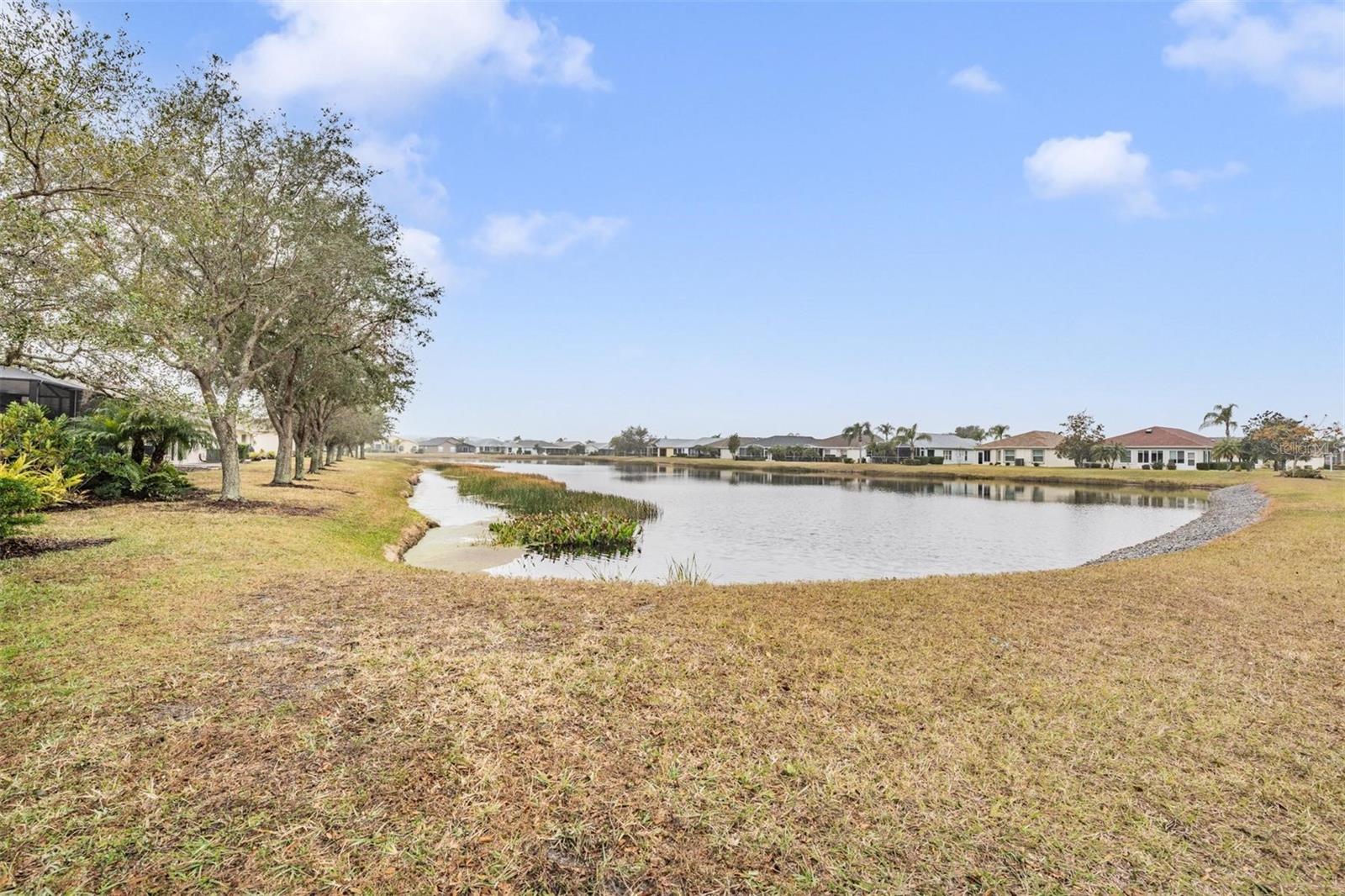 12219 ARRON TER, TRINITY, FL, 34655