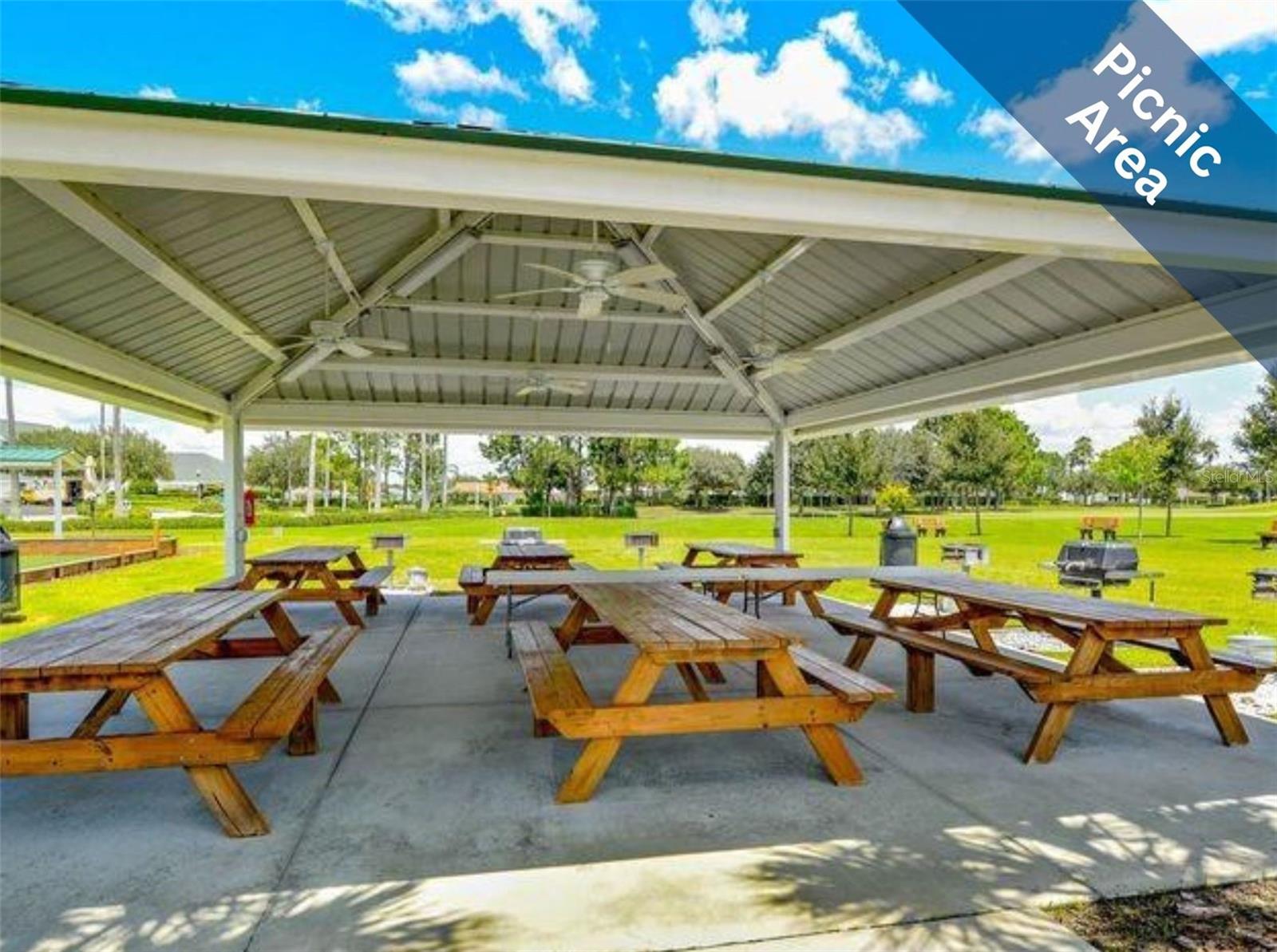 12219 ARRON TER, TRINITY, FL, 34655