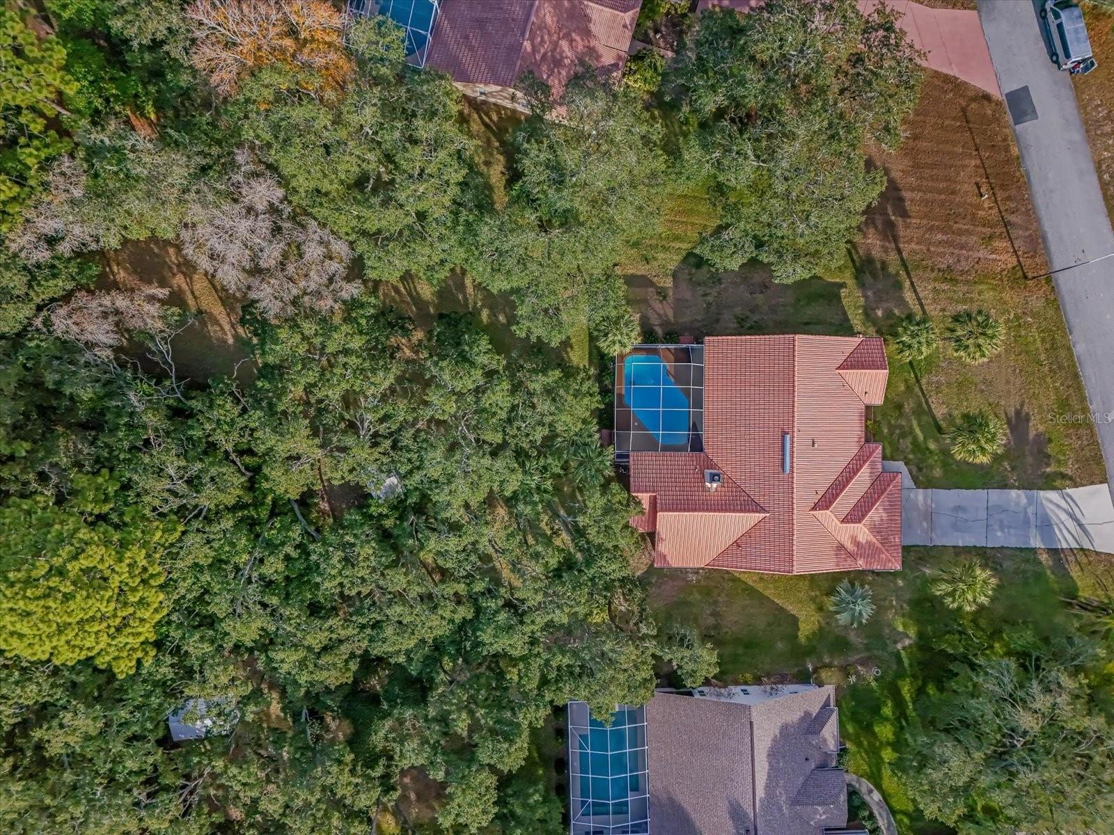 11097 GOLDEN EAGLE AVE, WEEKI WACHEE, FL, 34613