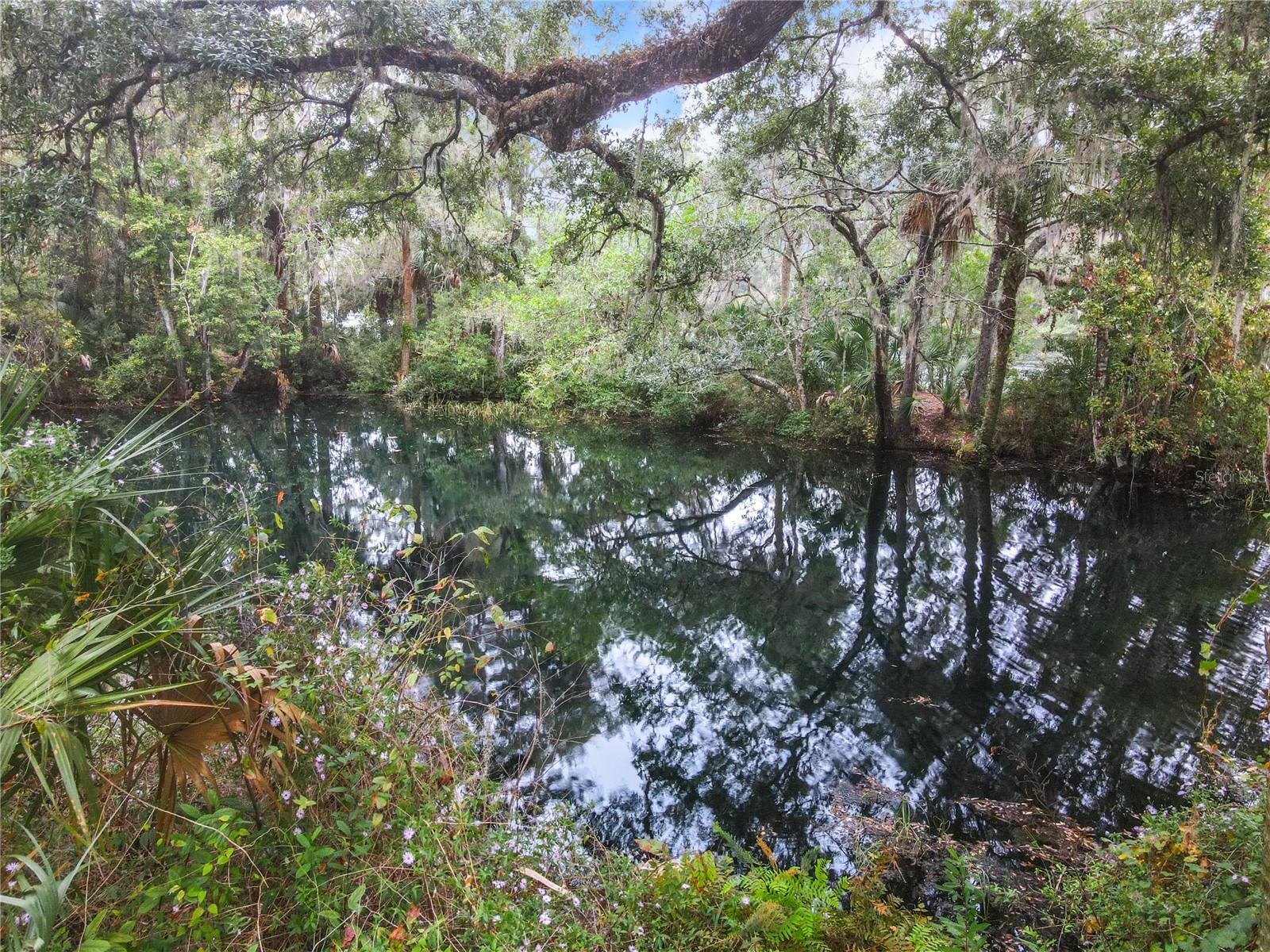 19660 SW 83RD PLACE RD #C18, DUNNELLON, FL, 34432