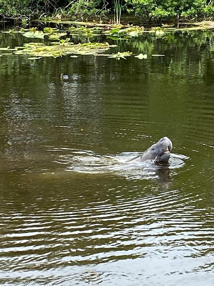 6216 LANDINGS BLVD, LADY LAKE, FL, 32159