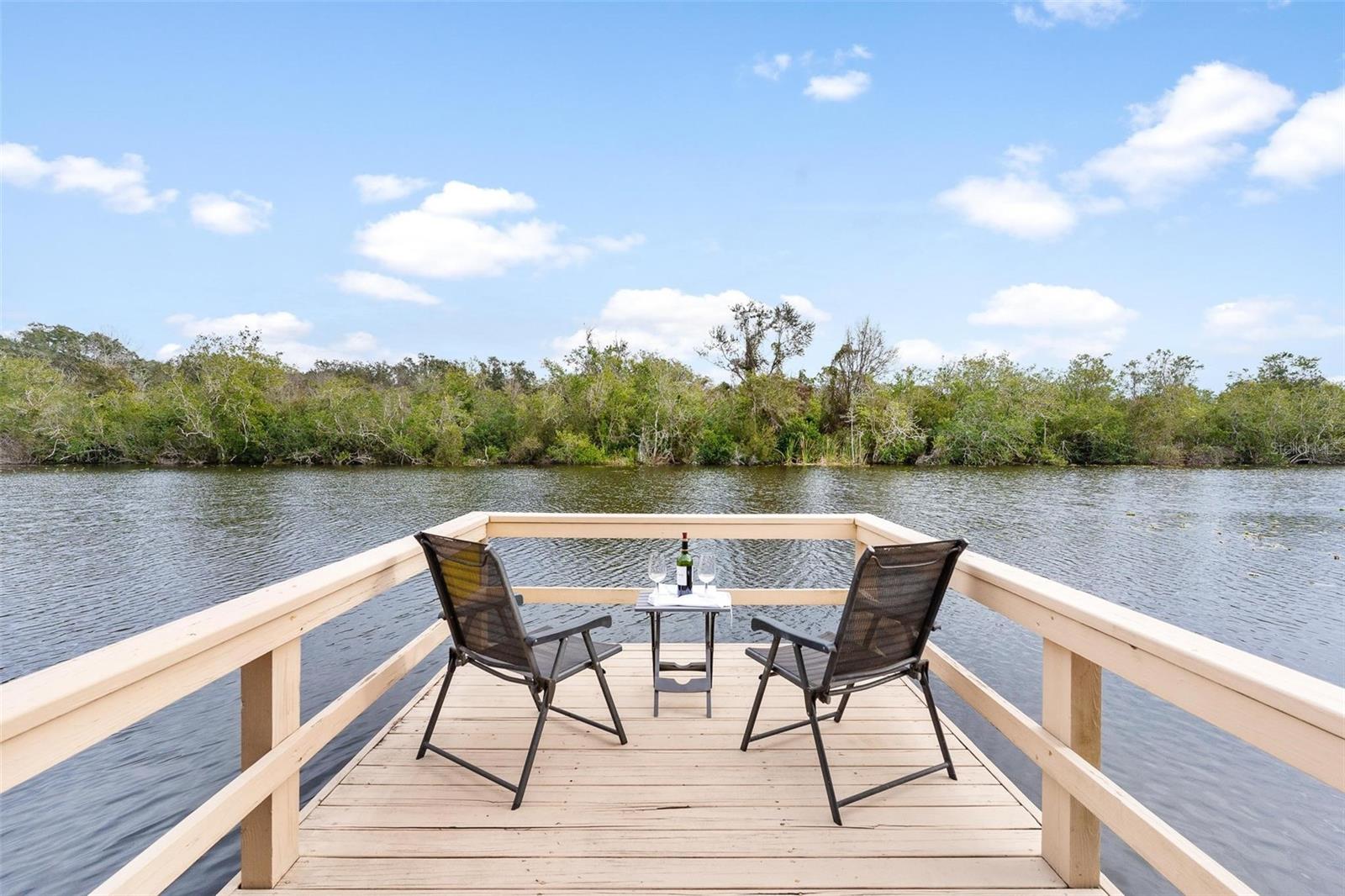 6216 LANDINGS BLVD, LADY LAKE, FL, 32159