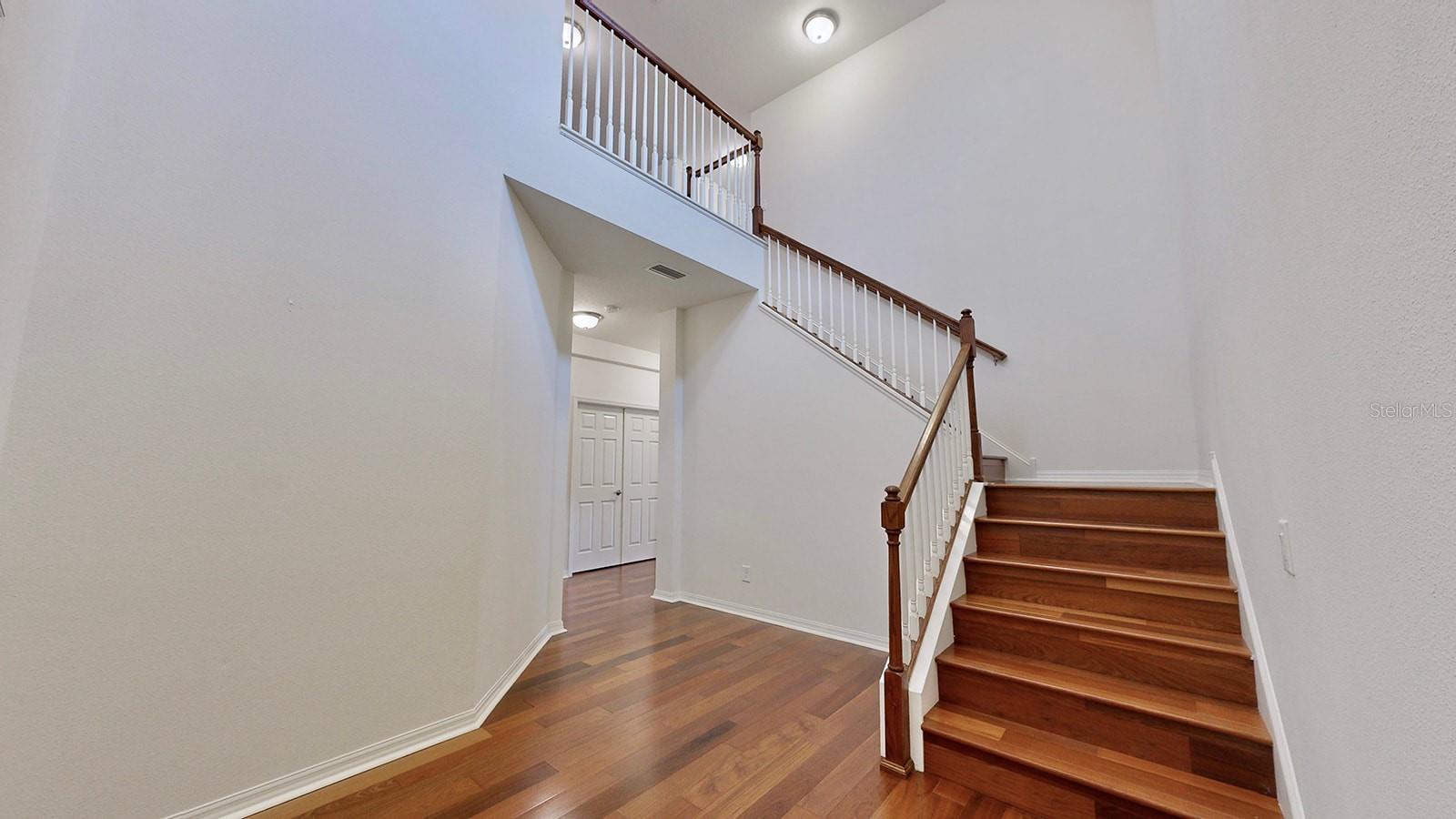 18865 DEER TRACKS LOOP, LUTZ, FL, 33558