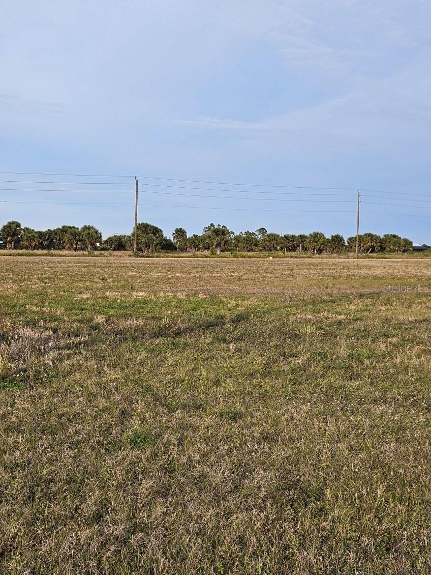 120 WREN DR, PLACIDA, FL, 33946