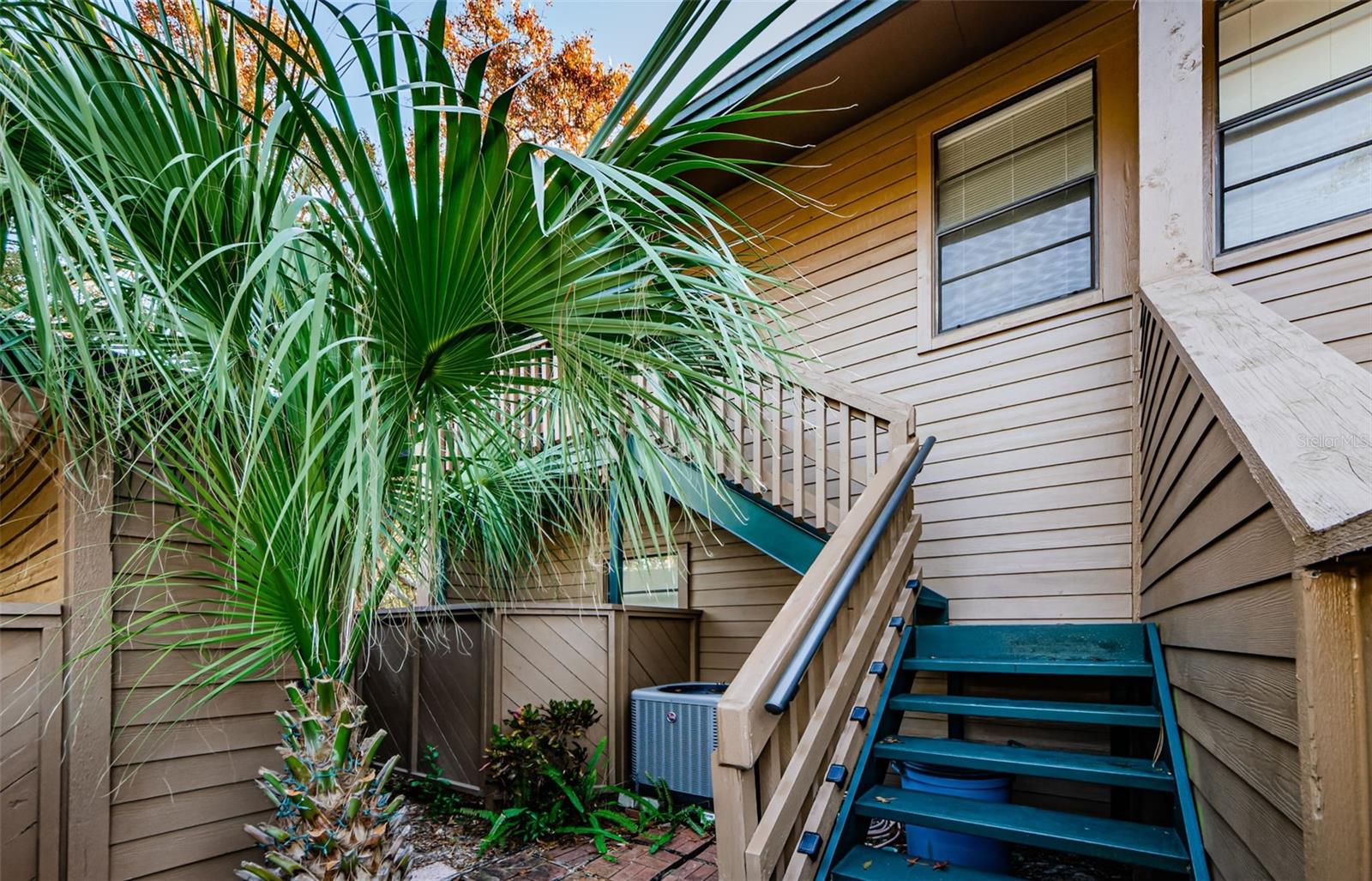 204 LENNOX RD W, PALM HARBOR, FL, 34683
