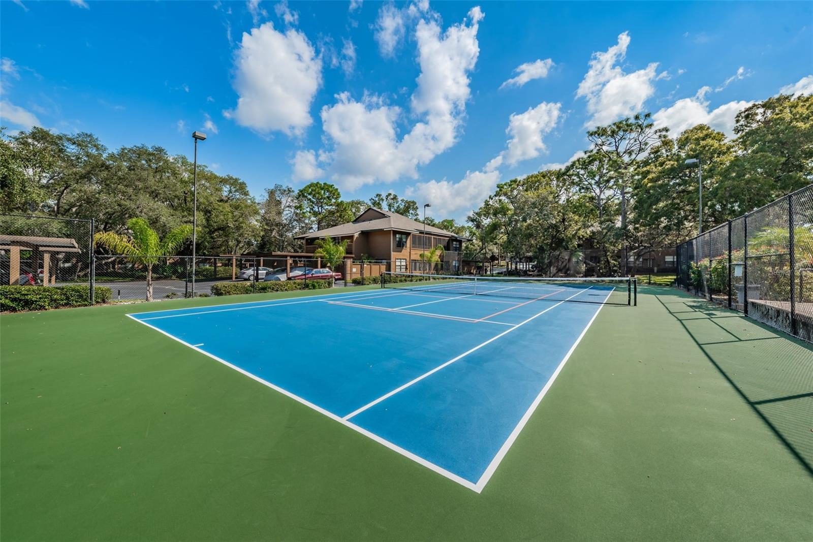 204 LENNOX RD W, PALM HARBOR, FL, 34683