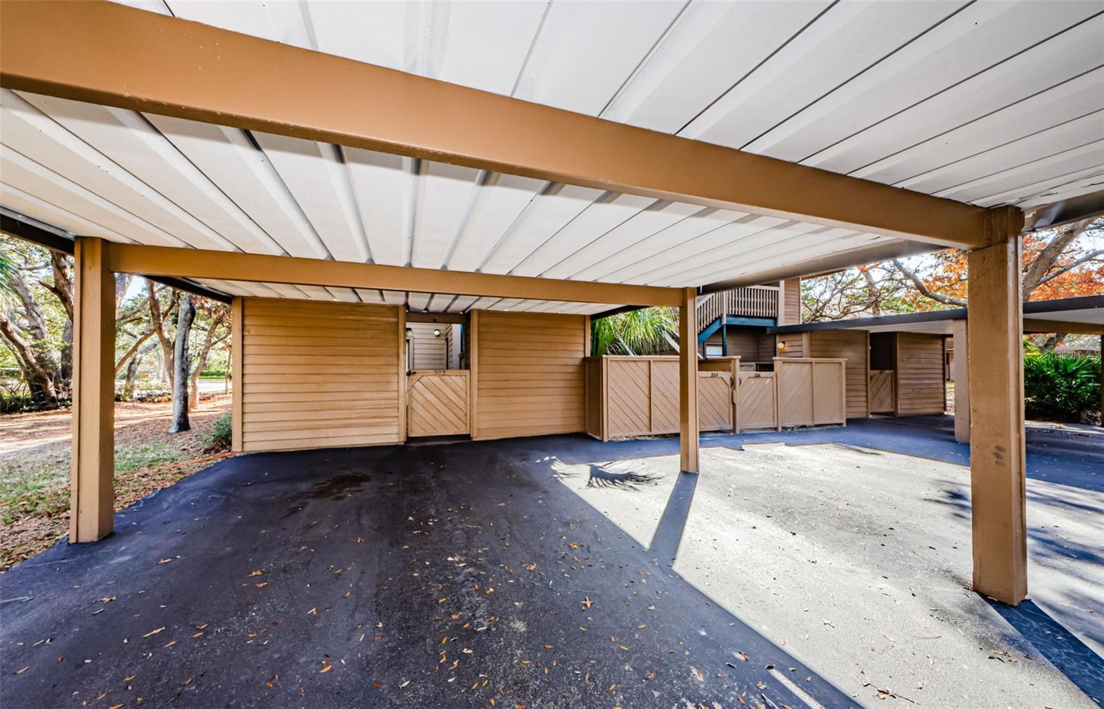 204 LENNOX RD W, PALM HARBOR, FL, 34683