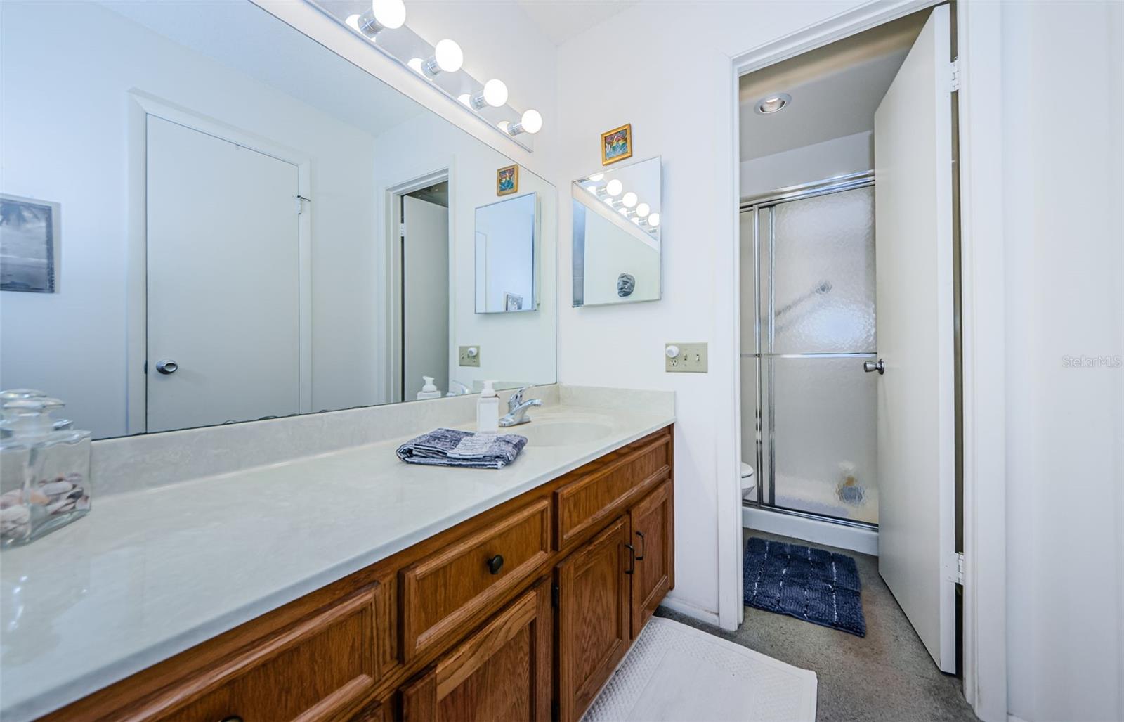 204 LENNOX RD W, PALM HARBOR, FL, 34683