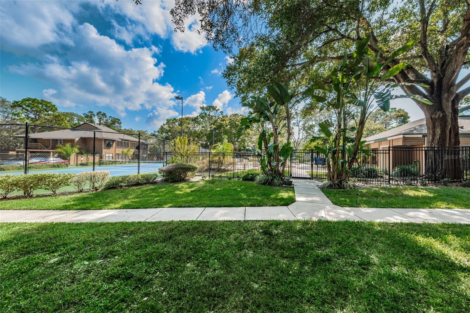 204 LENNOX RD W, PALM HARBOR, FL, 34683