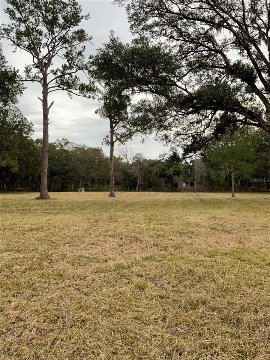 8301 NW 150TH AVE, MORRISTON, FL, 32668