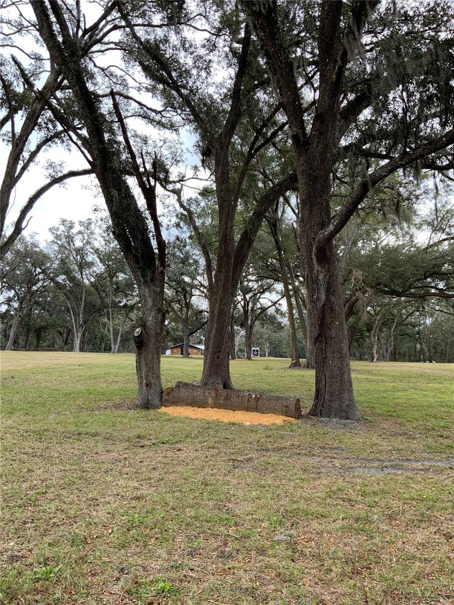 8301 NW 150TH AVE, MORRISTON, FL, 32668