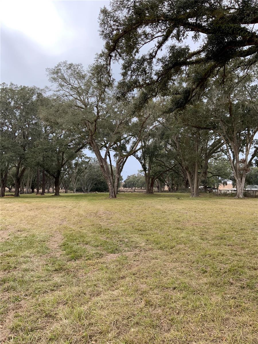 8301 NW 150TH AVE, MORRISTON, FL, 32668