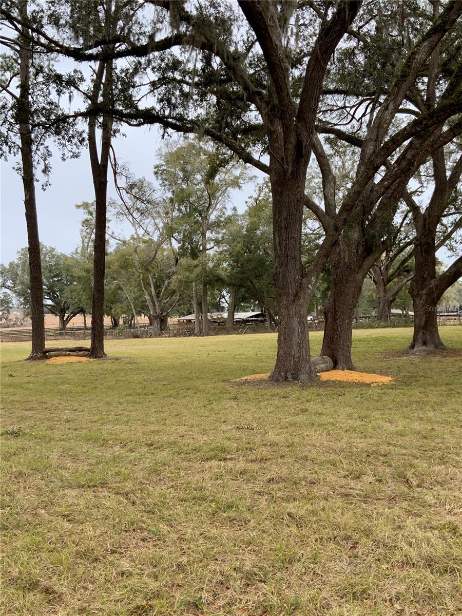 8301 NW 150TH AVE, MORRISTON, FL, 32668