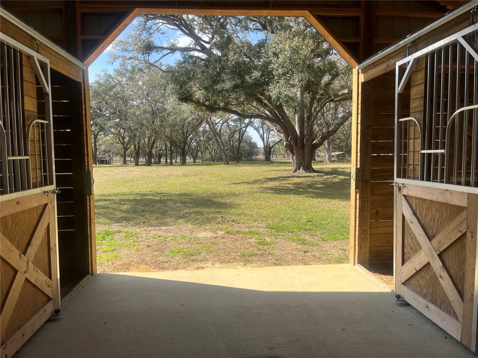 8301 NW 150TH AVE, MORRISTON, FL, 32668