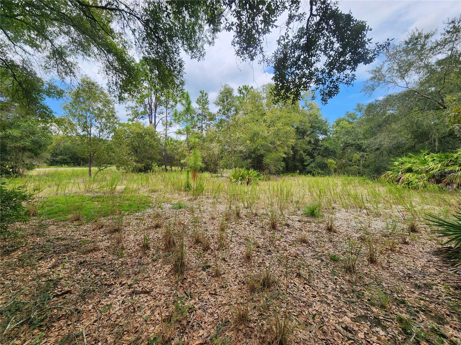 TBD SHOREWOOD DR, DUNNELLON, FL, 34431