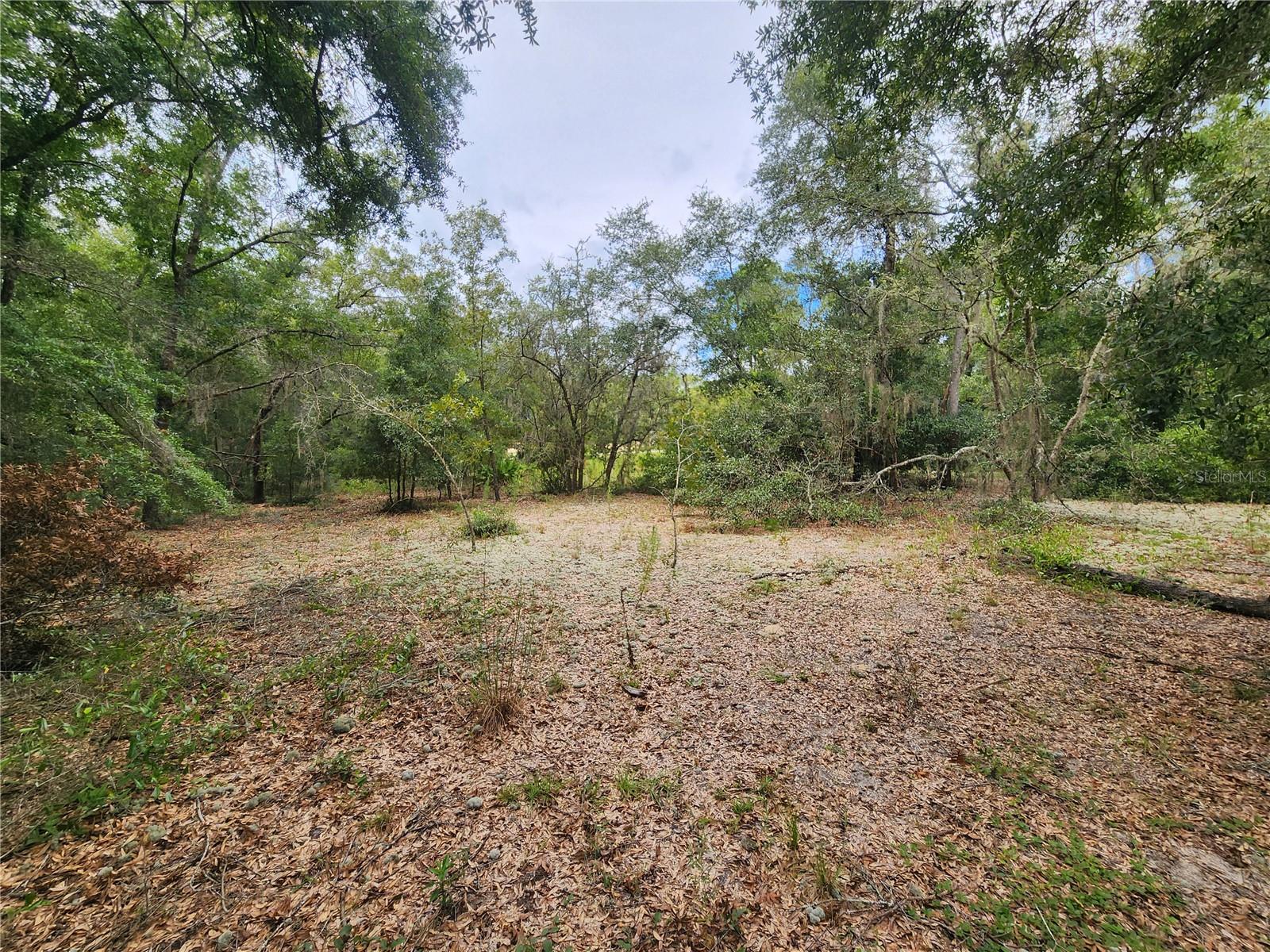 TBD SHOREWOOD DR, DUNNELLON, FL, 34431