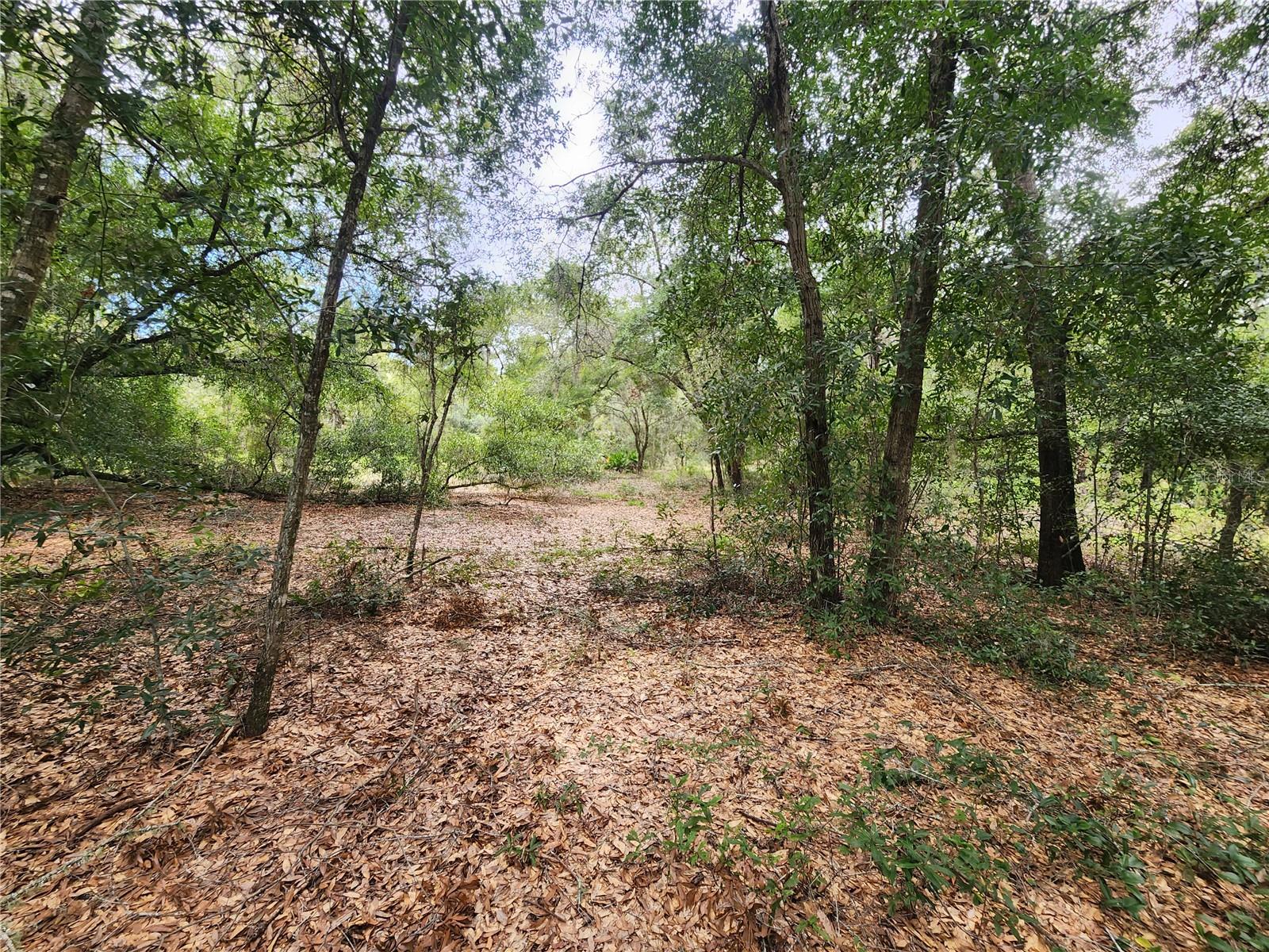 TBD SHOREWOOD DR, DUNNELLON, FL, 34431
