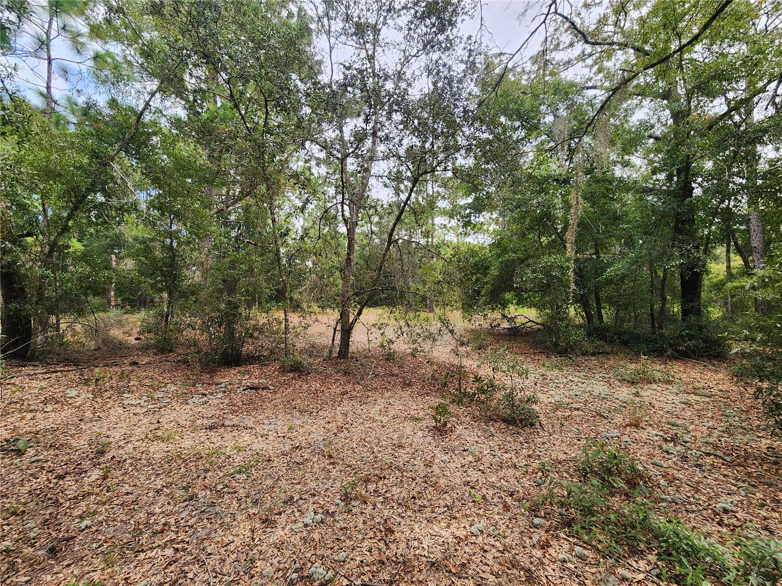 TBD SHOREWOOD DR, DUNNELLON, FL, 34431