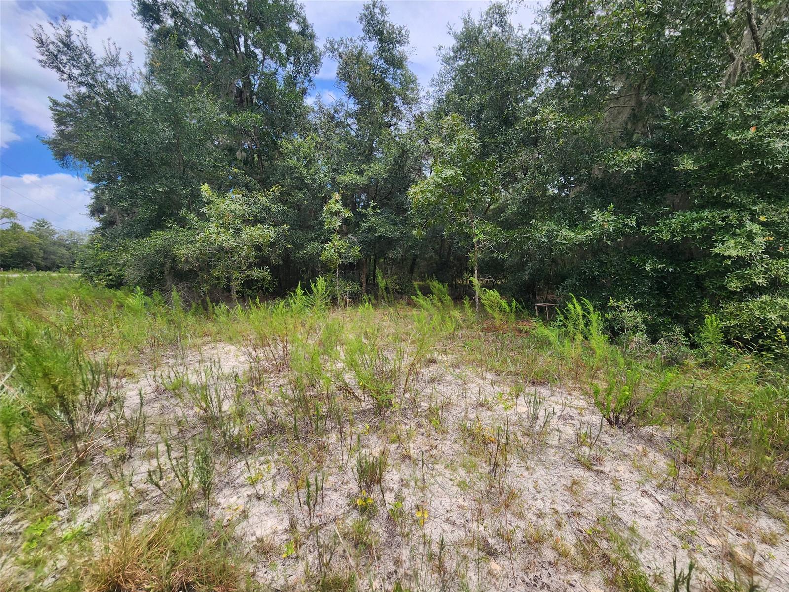 TBD SHOREWOOD DR, DUNNELLON, FL, 34431