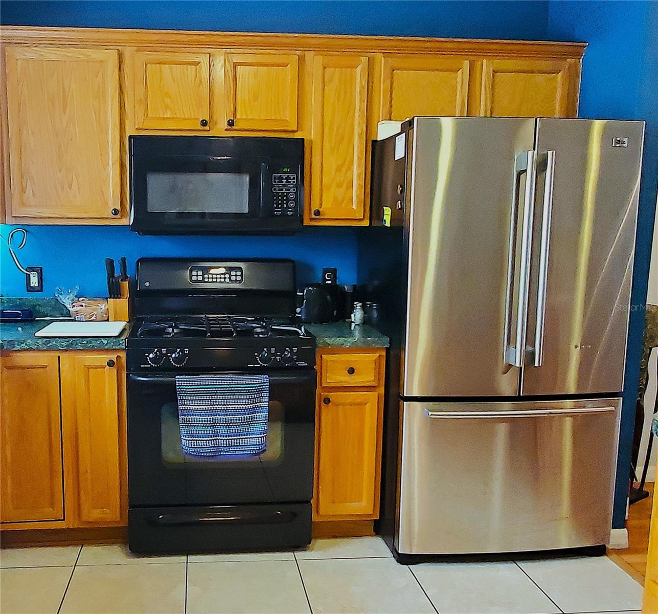 9616 SE 168TH ELDERBERRY PL, THE VILLAGES, FL, 32162