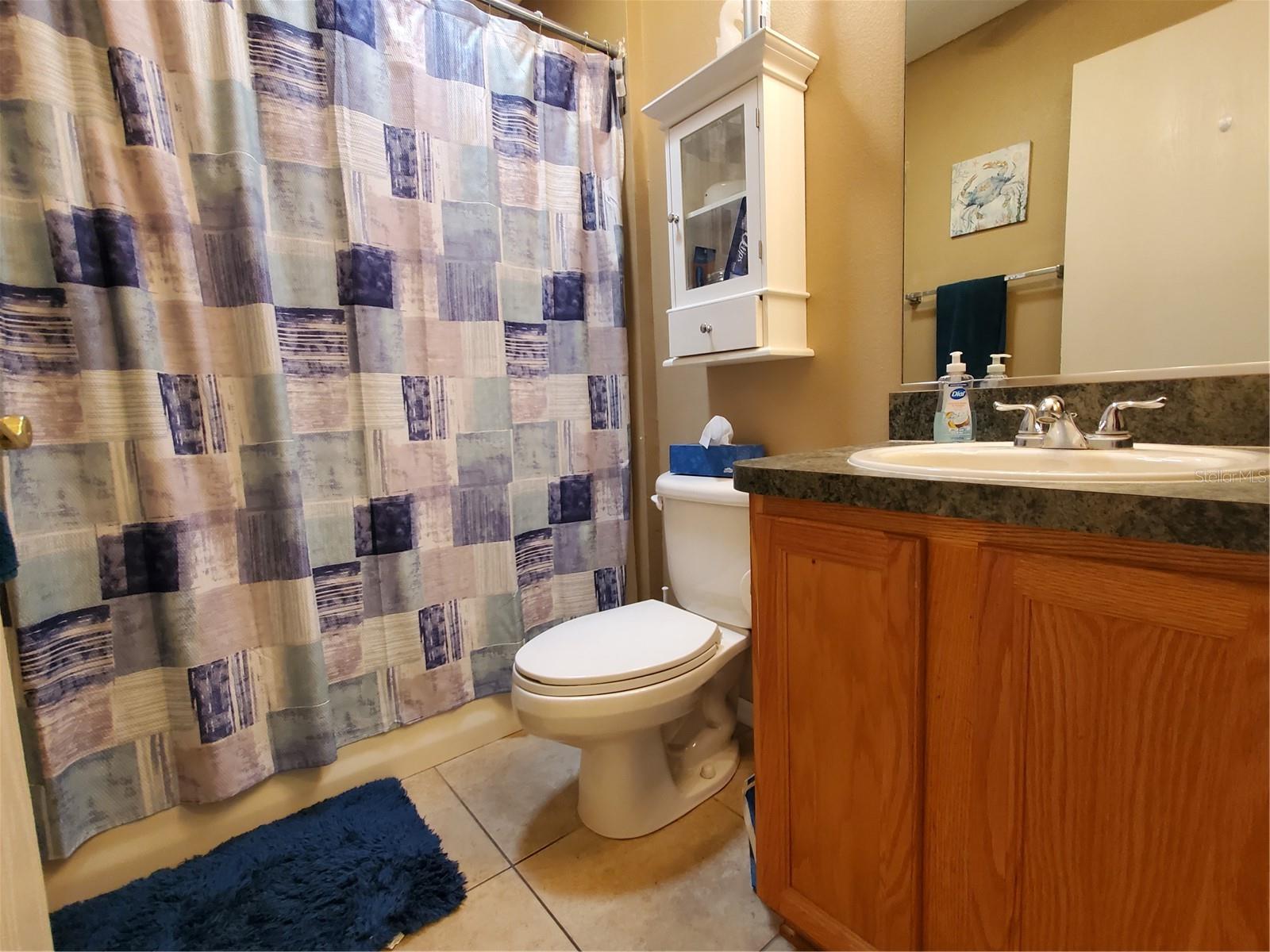 9616 SE 168TH ELDERBERRY PL, THE VILLAGES, FL, 32162