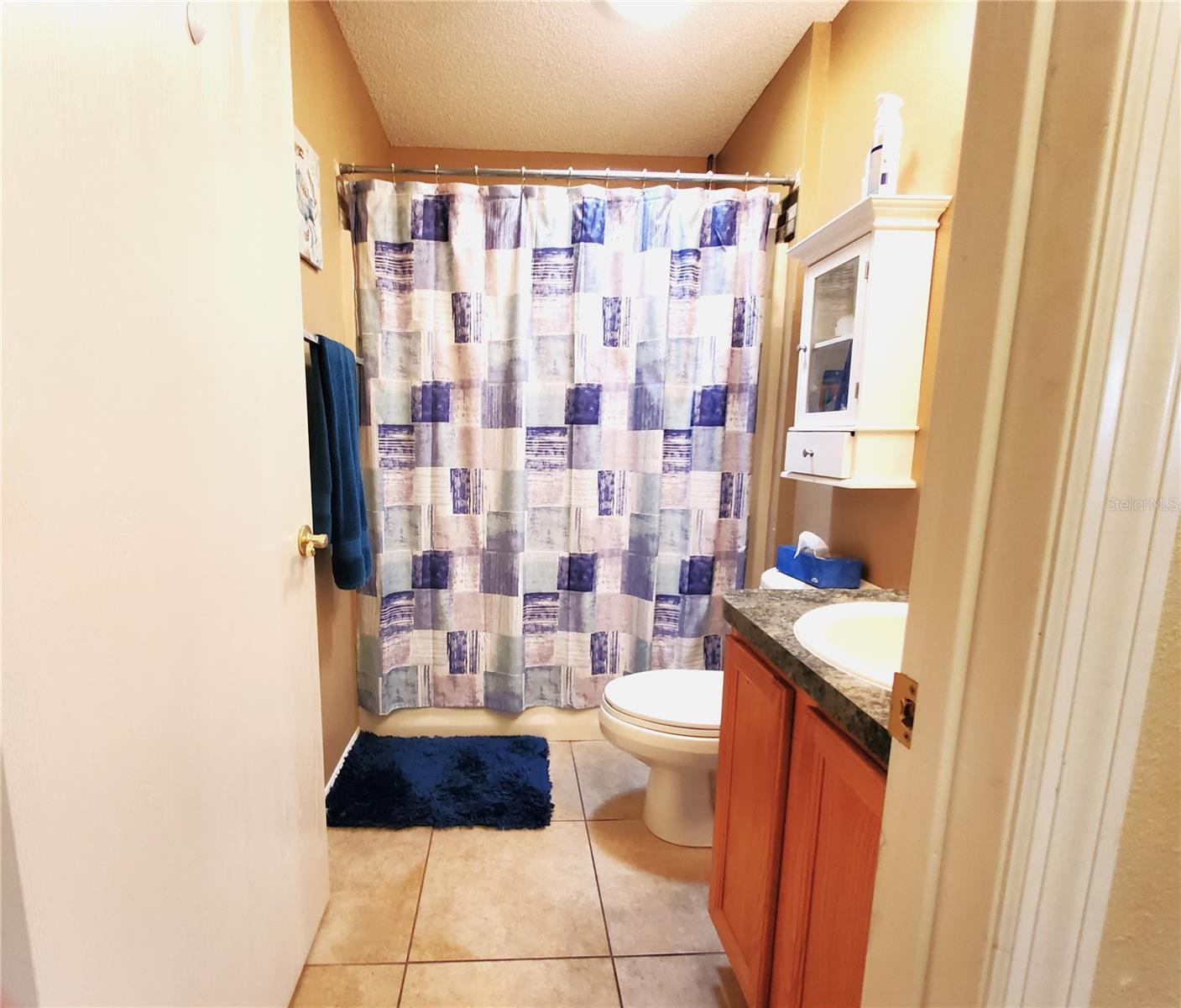 9616 SE 168TH ELDERBERRY PL, THE VILLAGES, FL, 32162