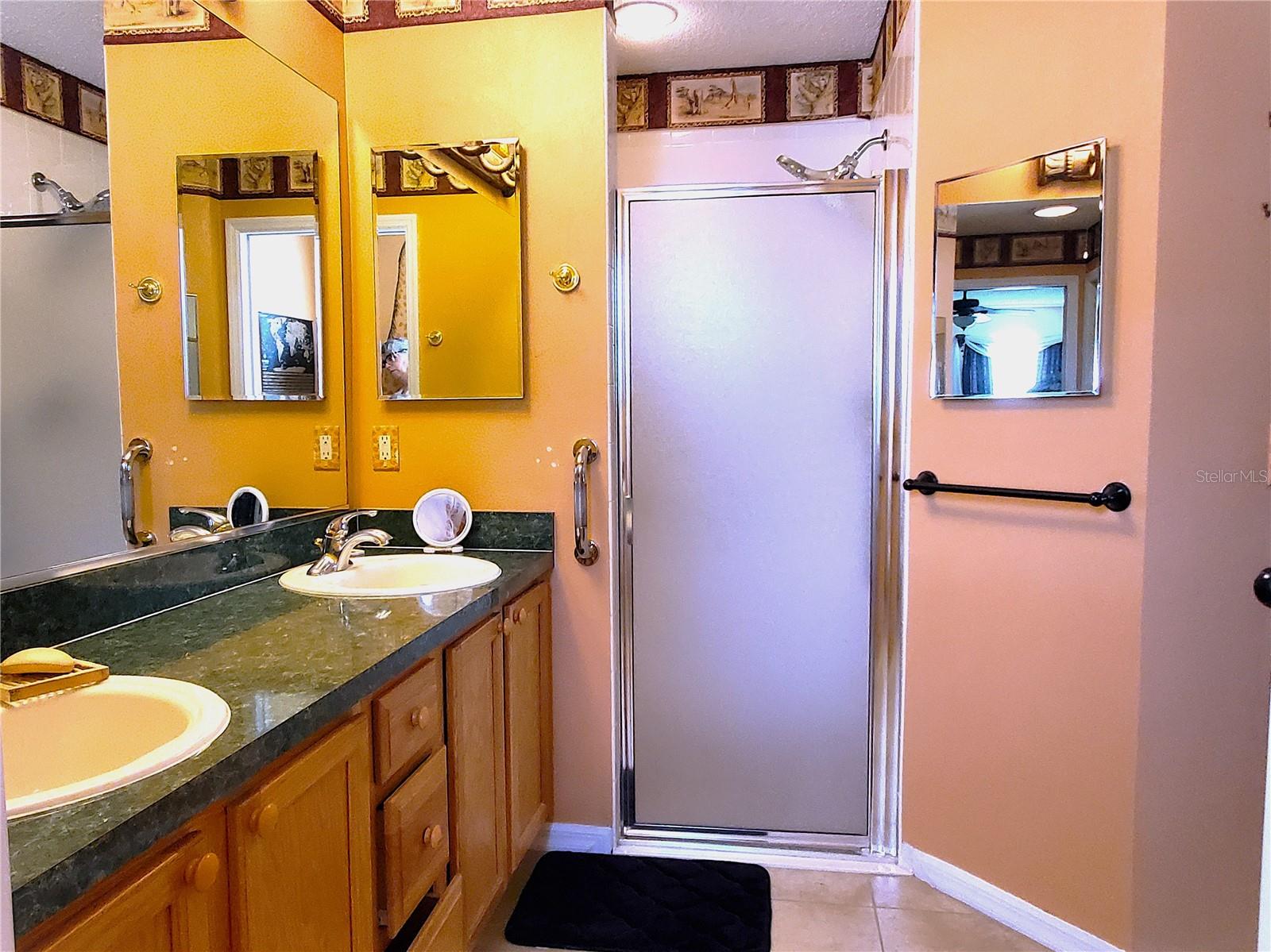 9616 SE 168TH ELDERBERRY PL, THE VILLAGES, FL, 32162