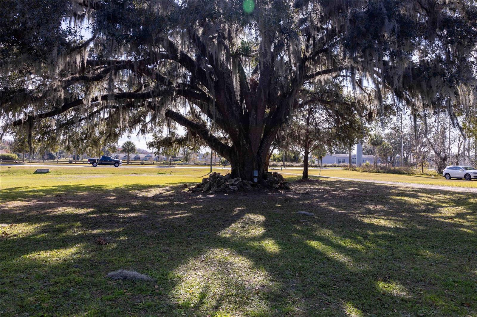 3704 WARM SPRINGS AVE, WILDWOOD, FL, 34785