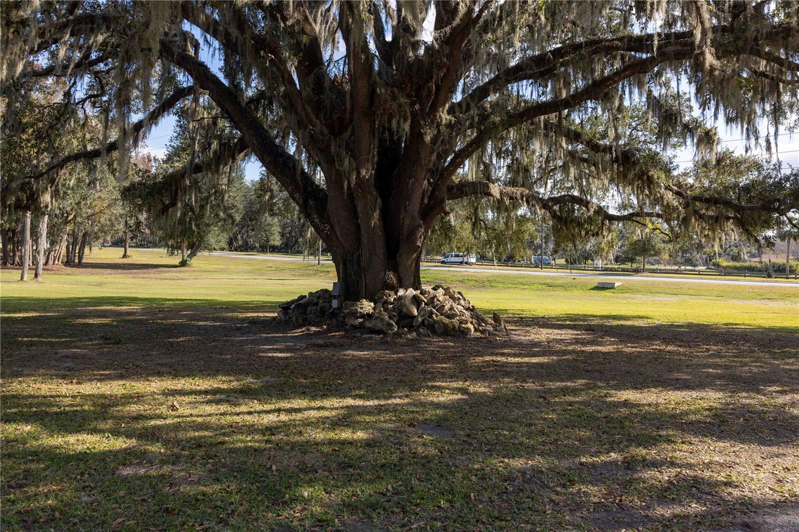 3704 WARM SPRINGS AVE, WILDWOOD, FL, 34785