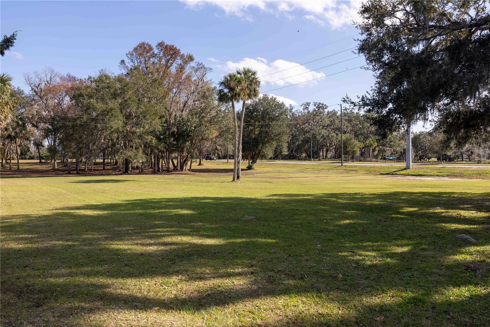 3704 WARM SPRINGS AVE, WILDWOOD, FL, 34785