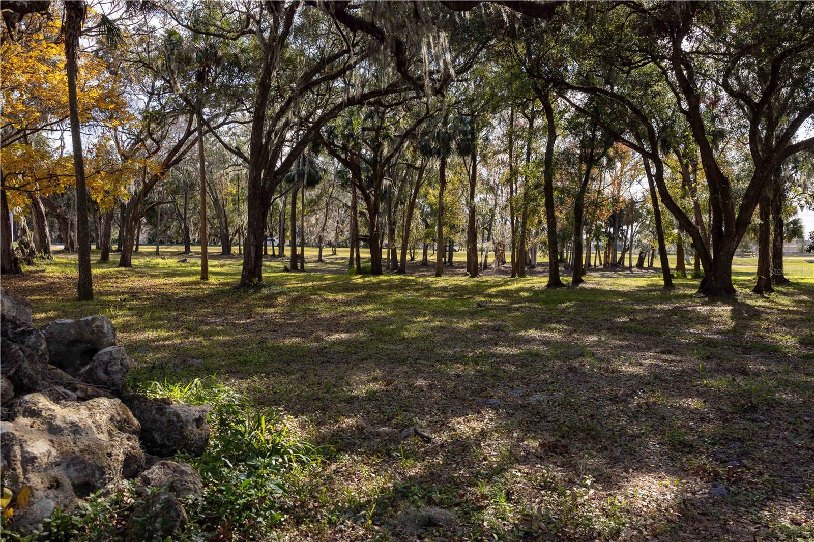 3704 WARM SPRINGS AVE, WILDWOOD, FL, 34785