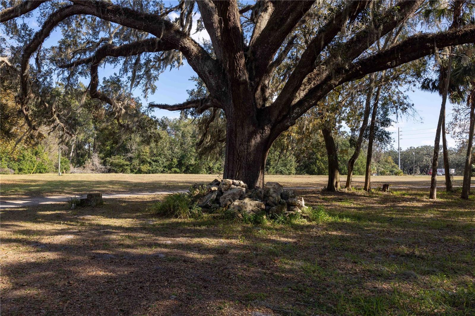 3704 WARM SPRINGS AVE, WILDWOOD, FL, 34785