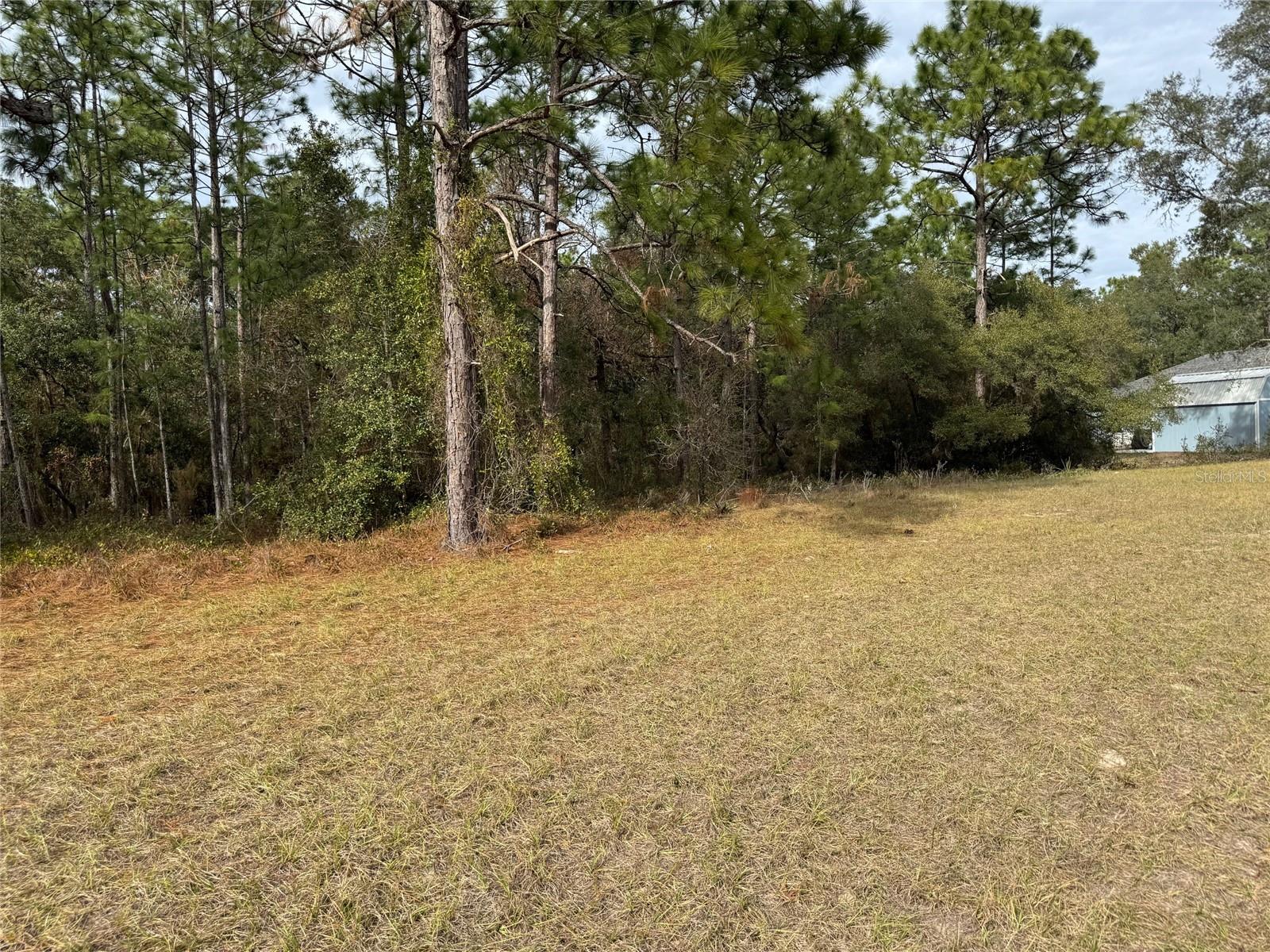 Lot 9 SW 61ST AVENUE RD, OCALA, FL, 34473