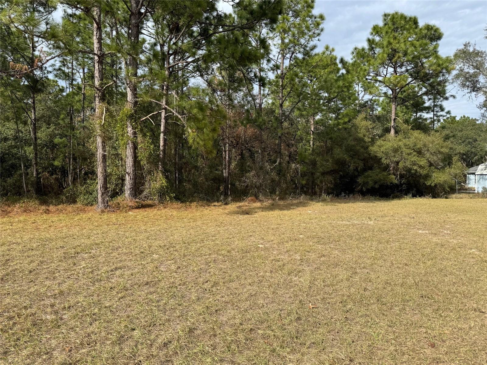 Lot 9 SW 61ST AVENUE RD, OCALA, FL, 34473