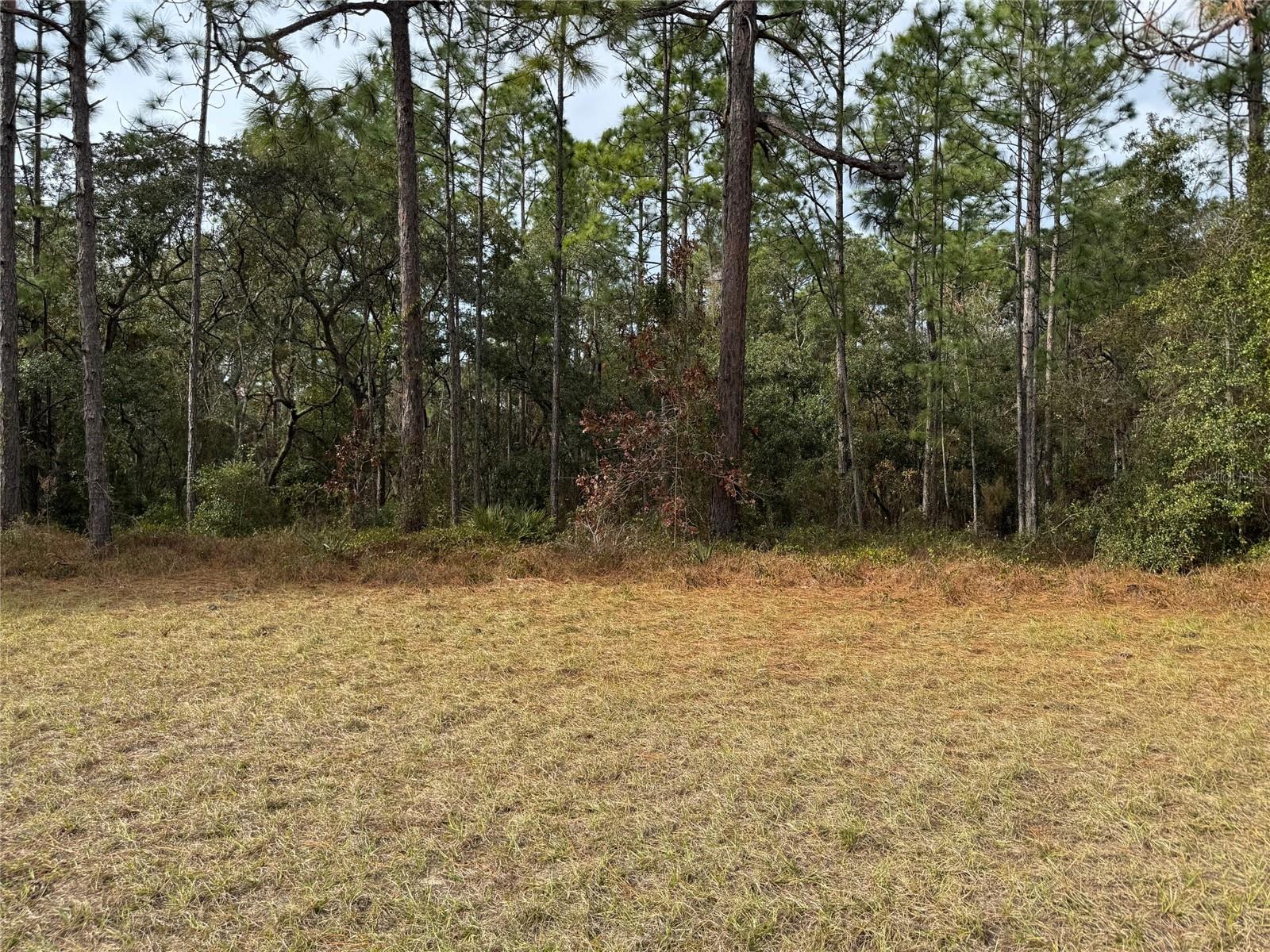 Lot 9 SW 61ST AVENUE RD, OCALA, FL, 34473