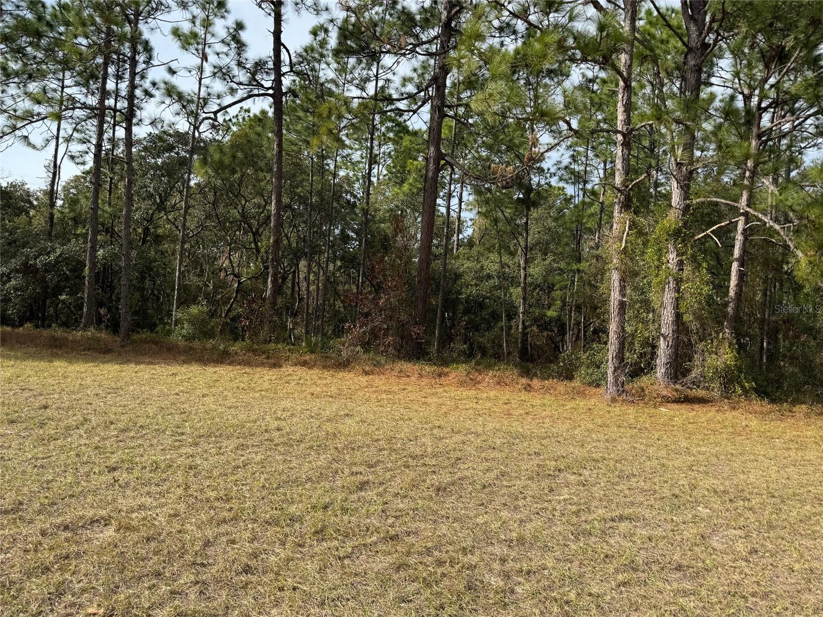 Lot 9 SW 61ST AVENUE RD, OCALA, FL, 34473