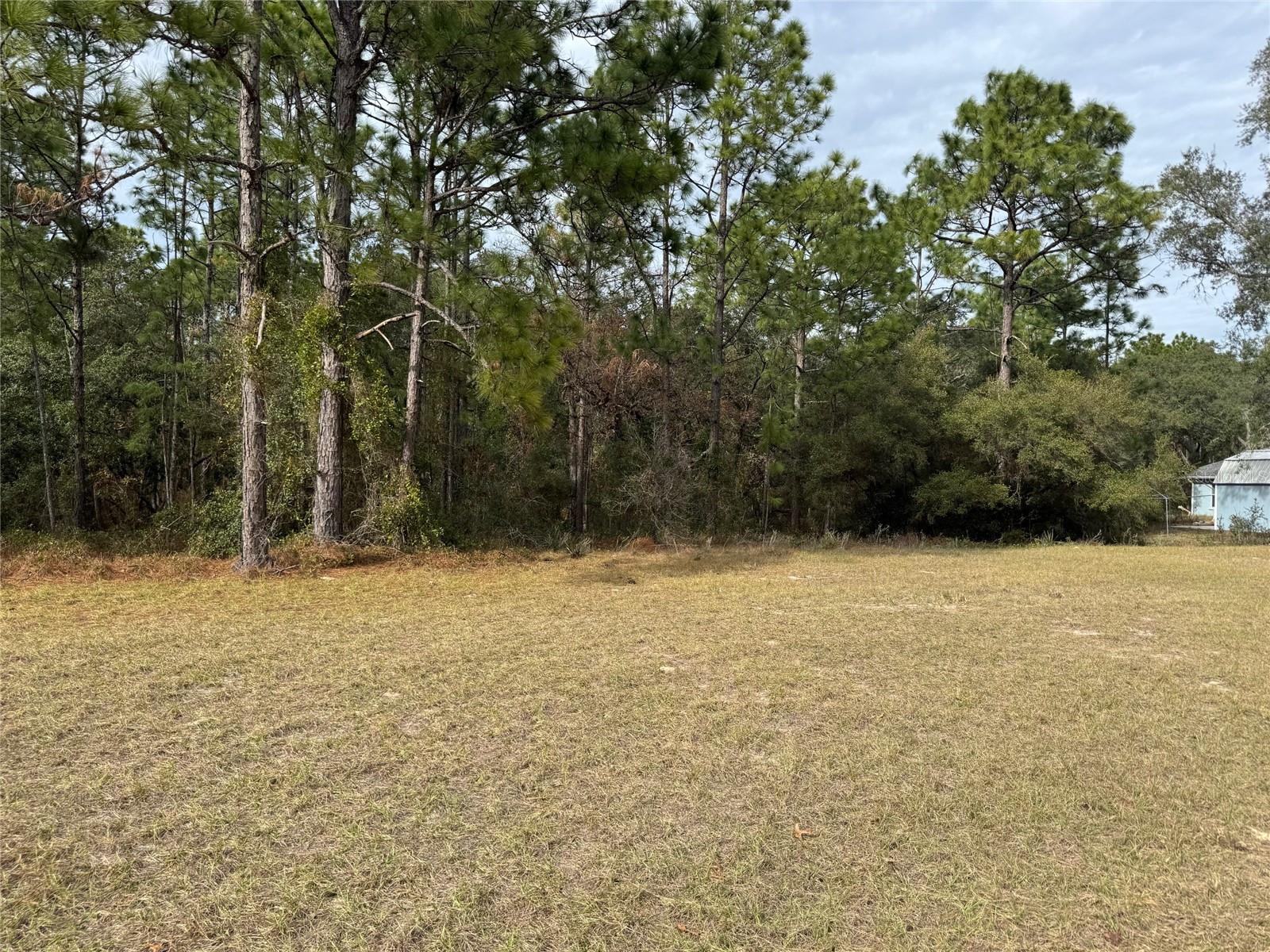 Lot 9 SW 61ST AVENUE RD, OCALA, FL, 34473