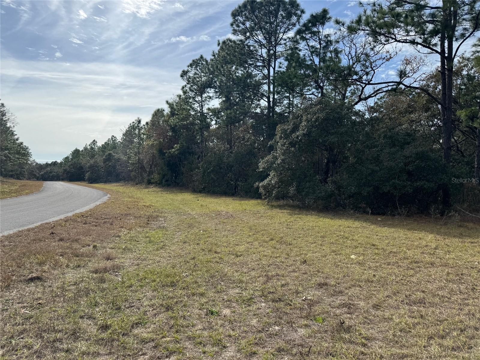 Lot 9 SW 61ST AVENUE RD, OCALA, FL, 34473