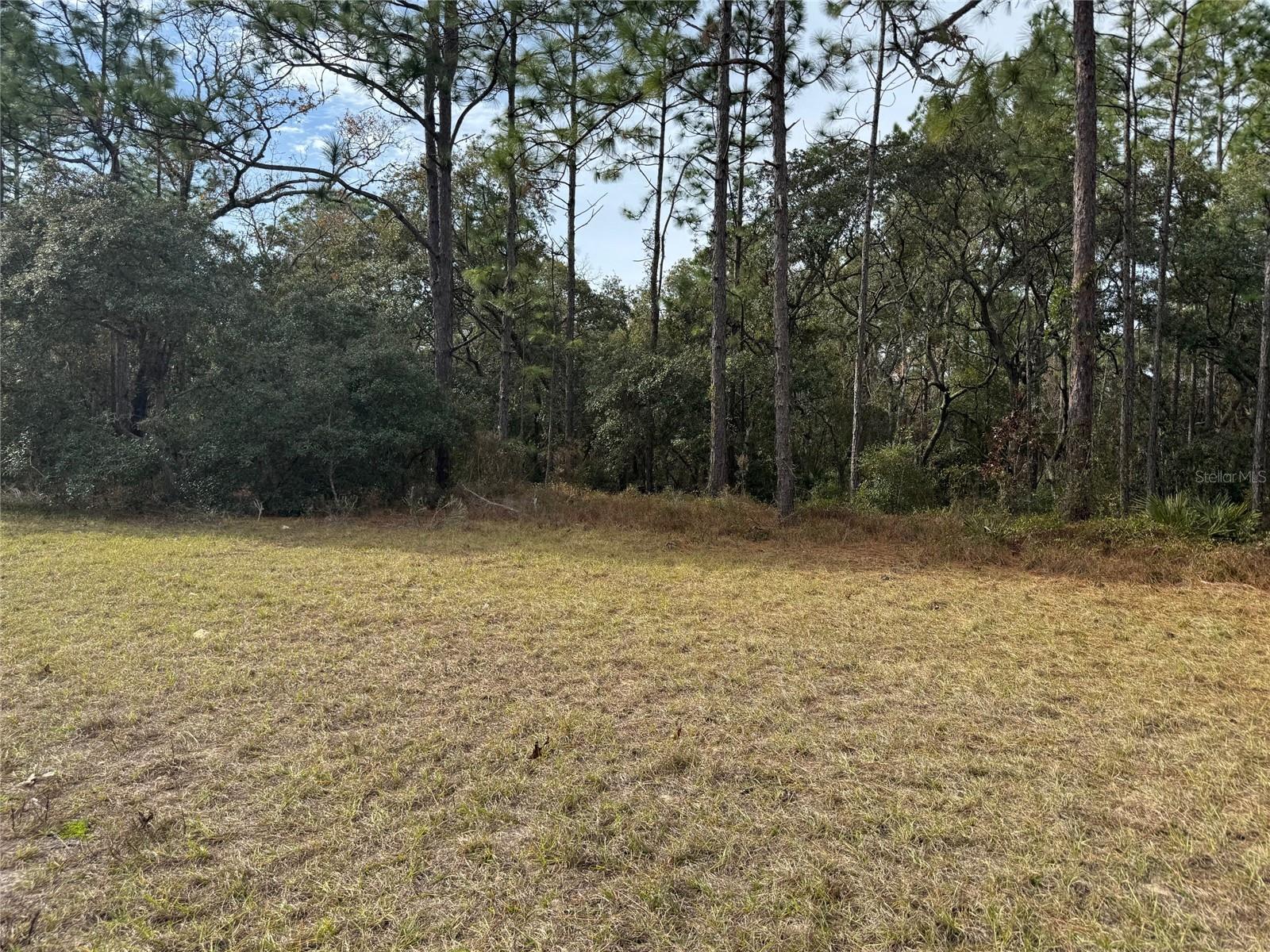 Lot 9 SW 61ST AVENUE RD, OCALA, FL, 34473
