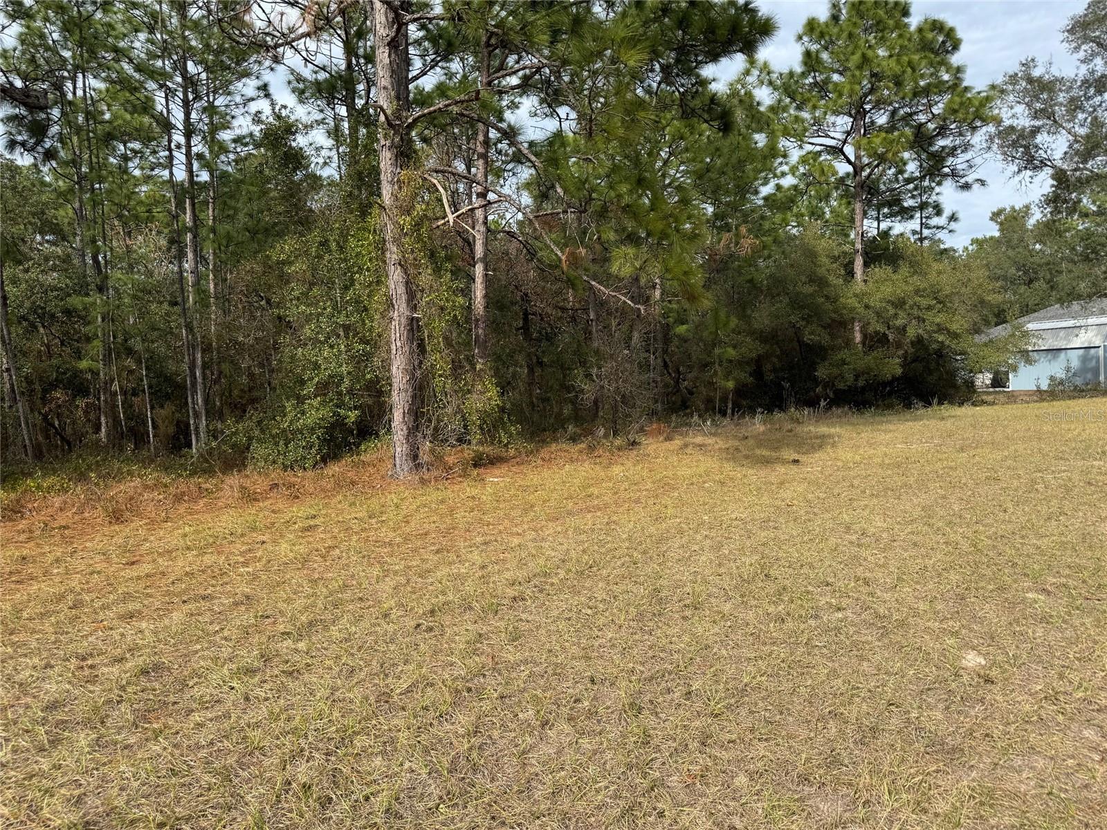 Lot 9 SW 61ST AVENUE RD, OCALA, FL, 34473