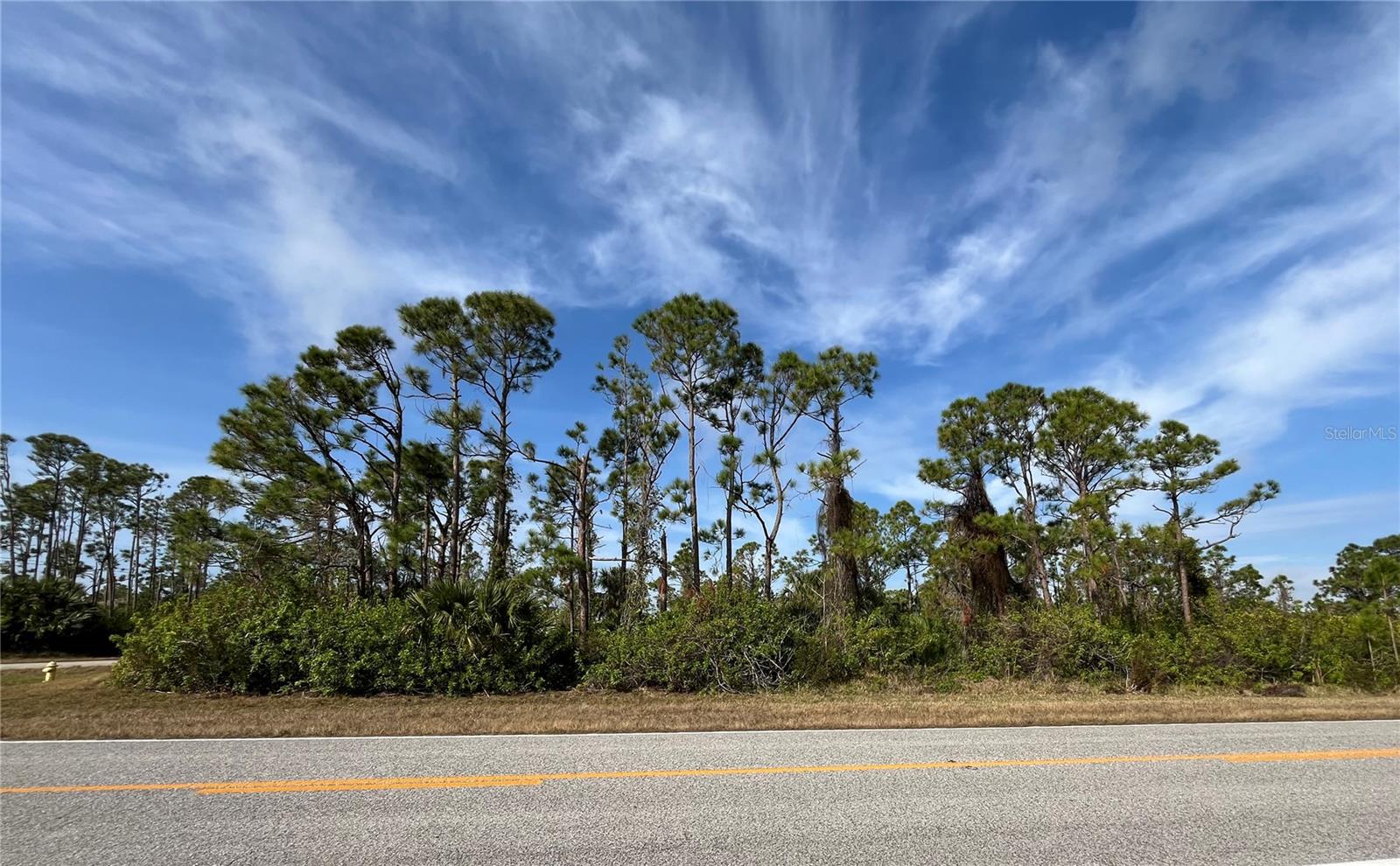 14767 SAN DOMINGO BLVD, PORT CHARLOTTE, FL, 33981